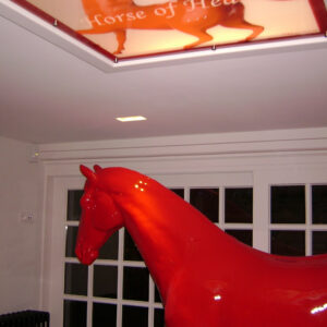 Arabisch Paard & Plexi resine spiegelfoto
