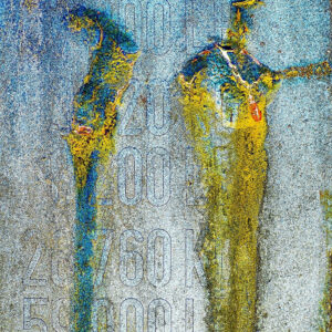 The violin player