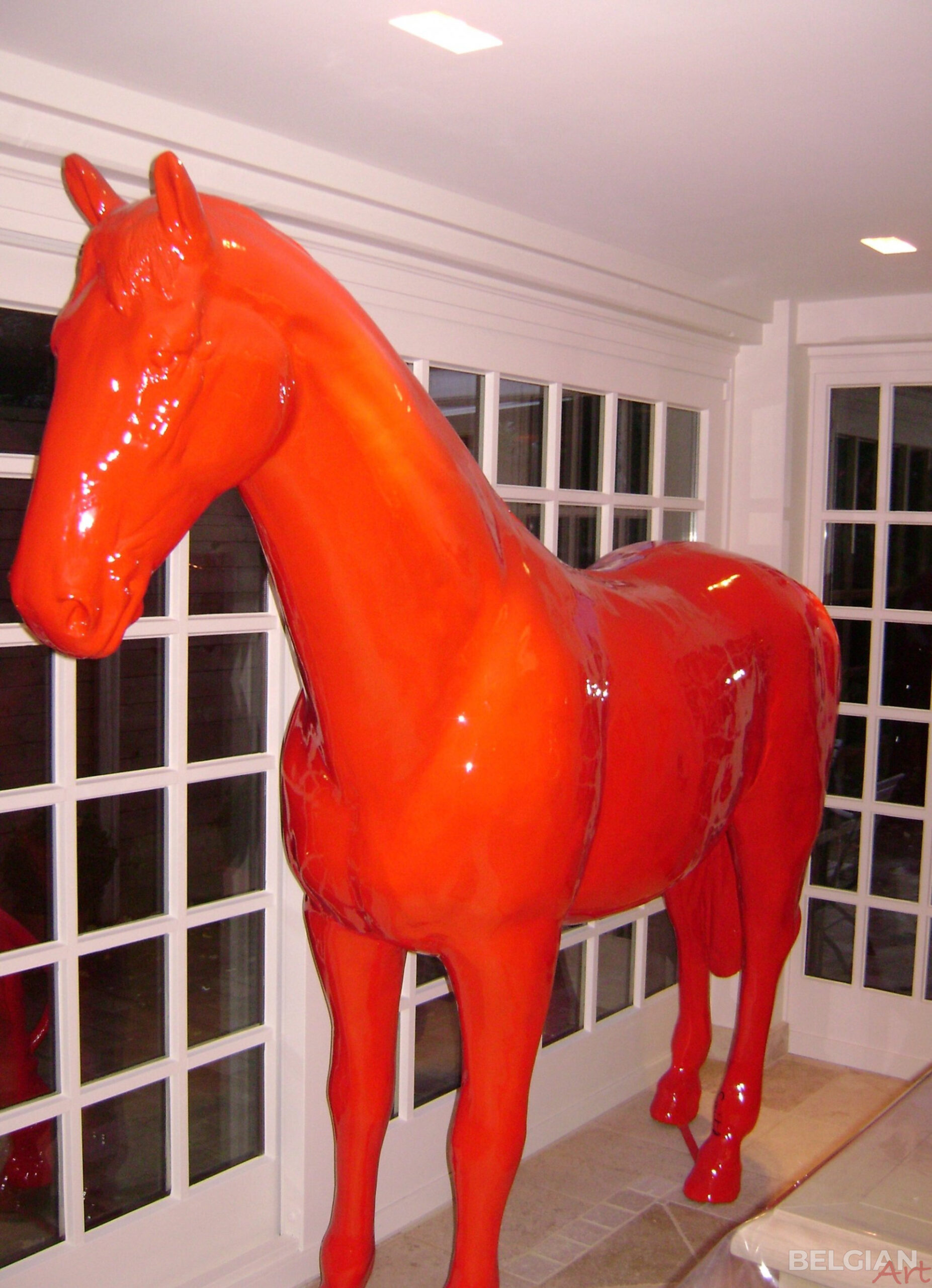 Arabisch Paard