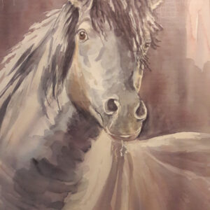 Paard