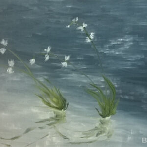 Het wassende water