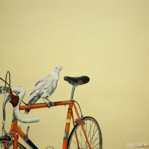 De witte raaf 1