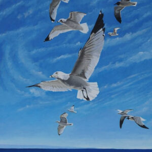 Flock of gulls riding the wind