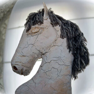 Paard