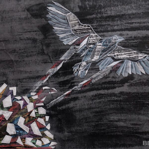 Fly Freedom