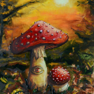 Le regard du champignon