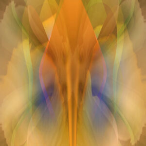 Arcturians