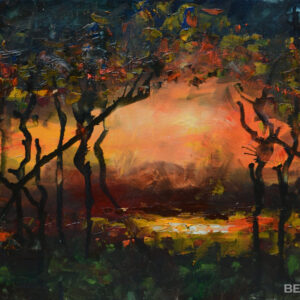 Coucher de soleil sur des étangs