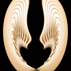 Angel wings
