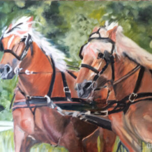 Horses