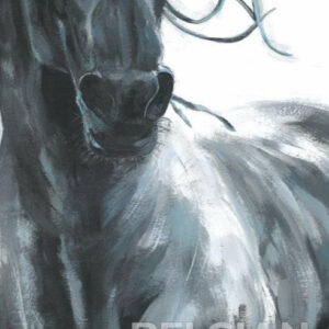 Paard