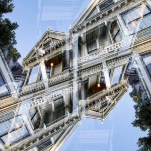 Painted Ladies #14