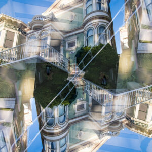 Painted Ladies #22