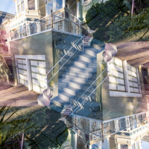 Painted Ladies #34