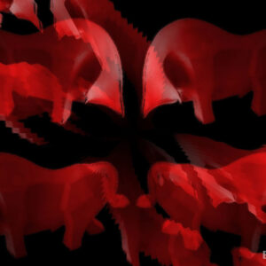 Crazy Bull 4 Red !