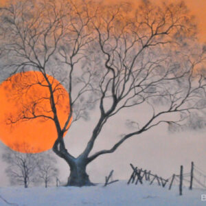 winter splendor