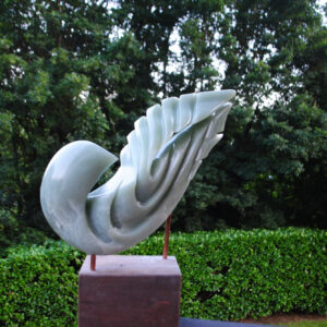 Een vogel