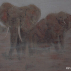 Elephants in the mist