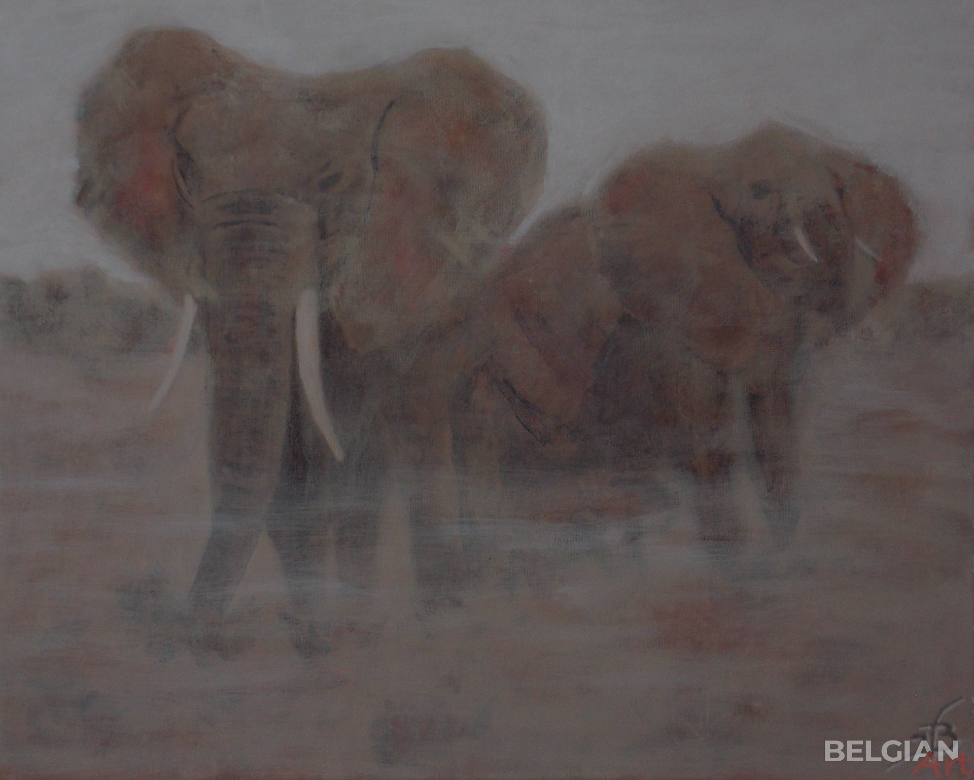Elephants in the mist