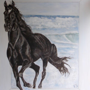 Black Fury