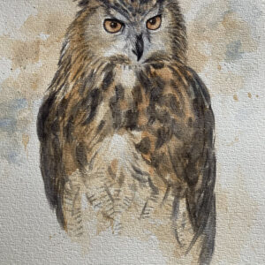 eurasian eagle-owl