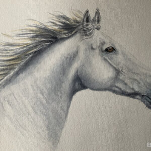 horse head white
