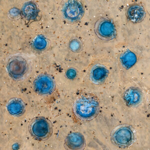 Blue Halos, Coast – Belgium - 70x80cm