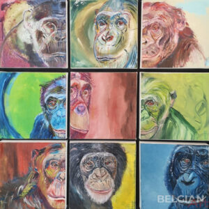 Les primates