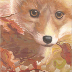Fox Teddy