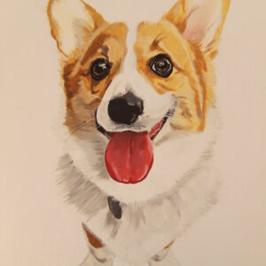 Corgi