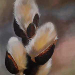 Catkins