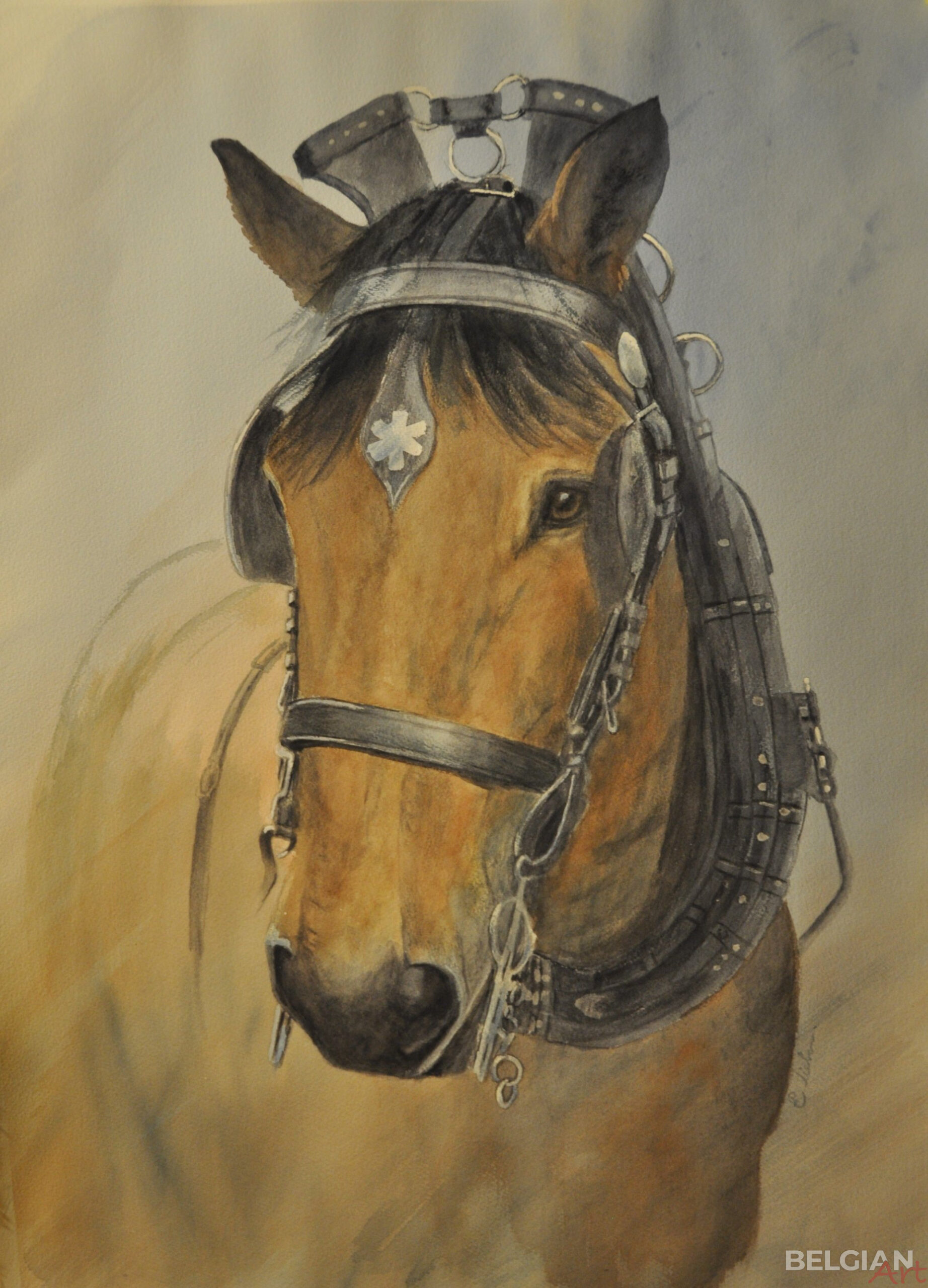 Boerenpaard