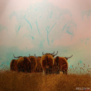 Highland Cow