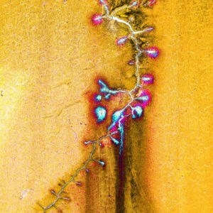 Paintcracks 5