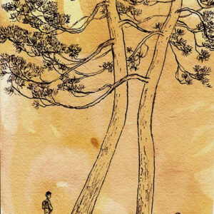 Illustration 2
