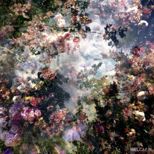 Fragment du Paysage 0449