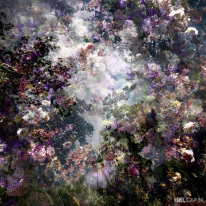 Fragment du Paysage 0243