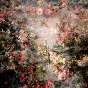 Fragment du Paysage 9909