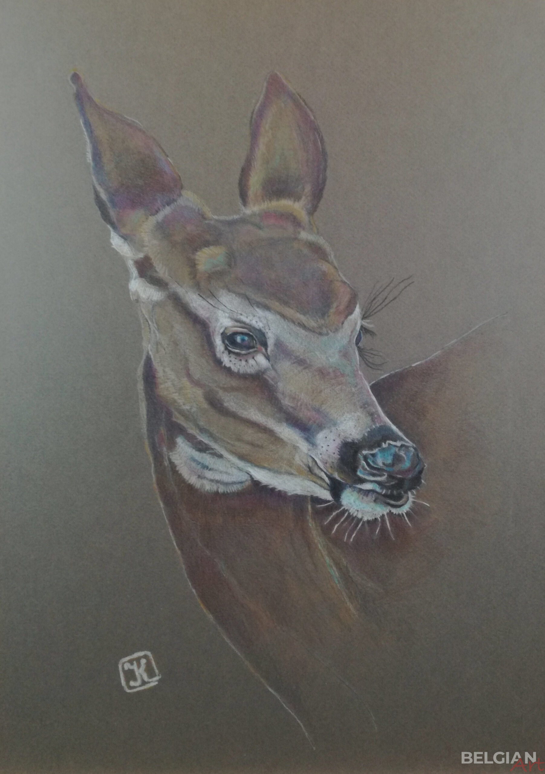 My Deer I