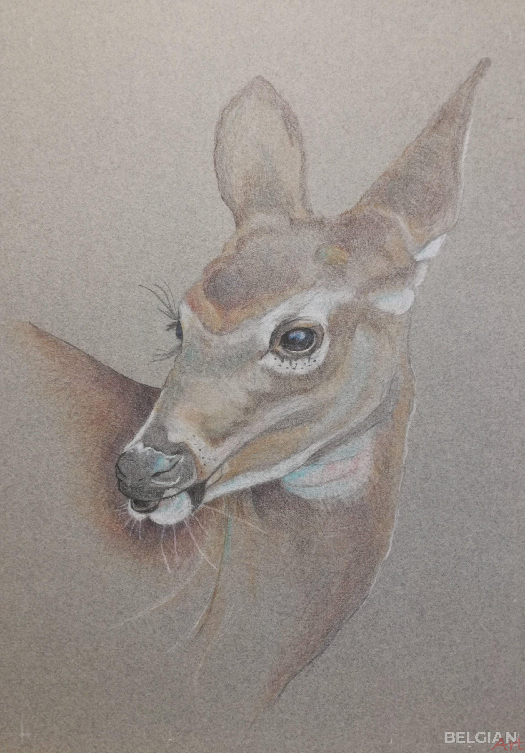 My Deer II