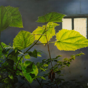 Life in Abandoned Places #3