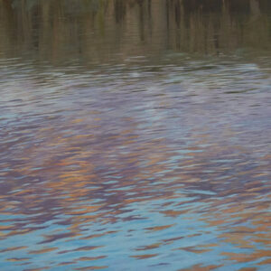 Ripples Of A Changing Opinion