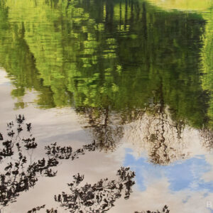 Ripples Of A Deeper Understanding