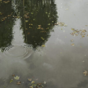 Ripples Of A Drowning Future.