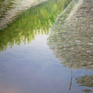 Tide Puddle