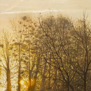 Sunrise #1