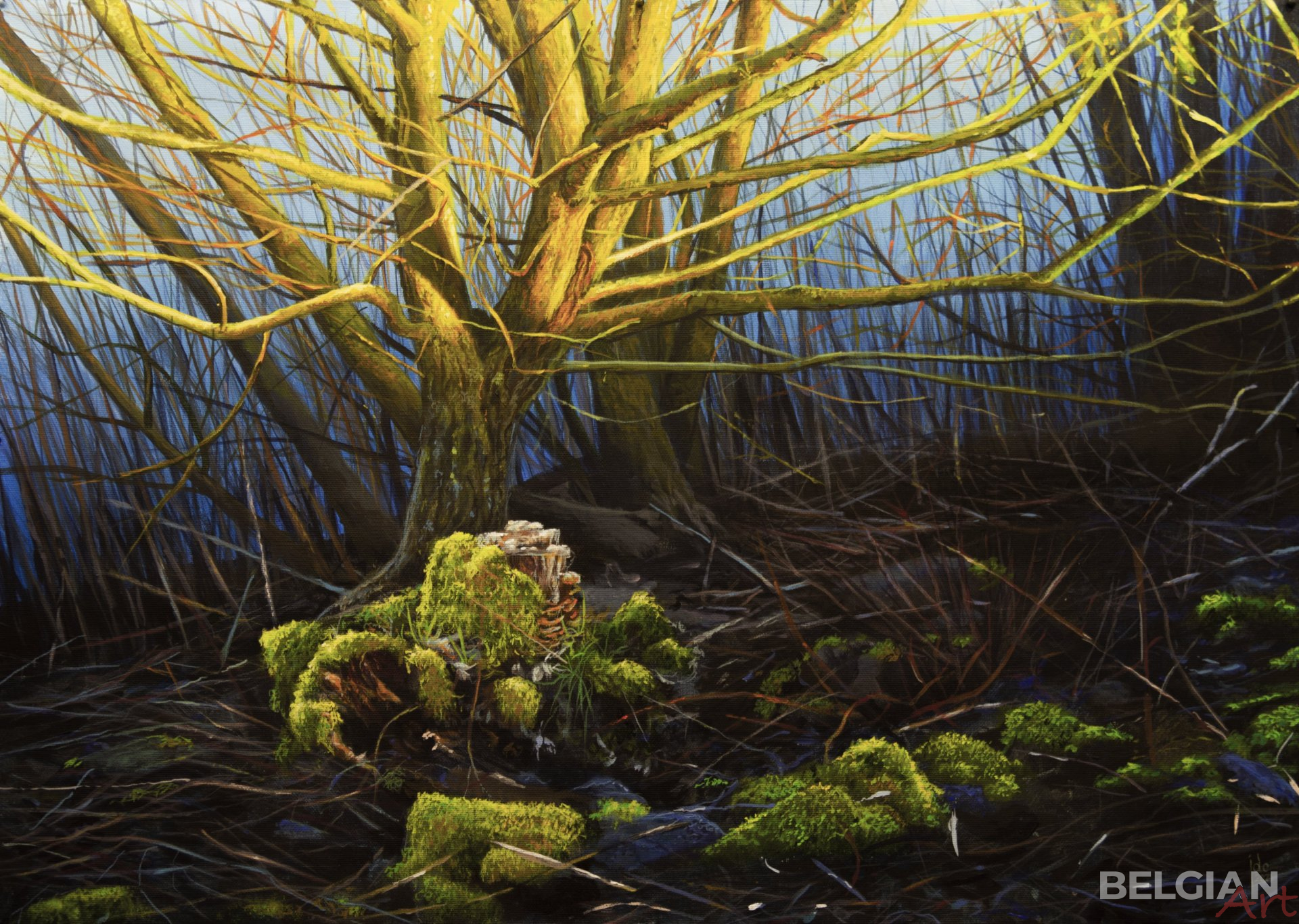 Evening Light On The Riverbank