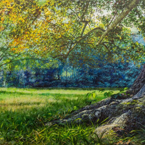 Park Van Mesen #1, Lede (B)