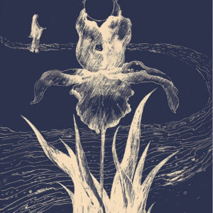 Illustration 16. Print B