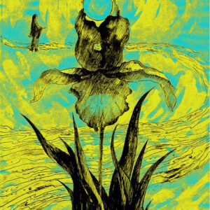 Illustration 16. Print N